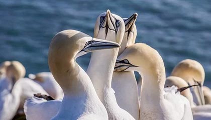 Binance 日均流入约 7,500 枚 BTC，卖压上升但价格仍稳于 10 万美元附近