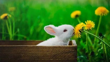 Binance 回应“做市商爆料”：涉事交易员为未授权第三方，Reduce Only 异常未被证实