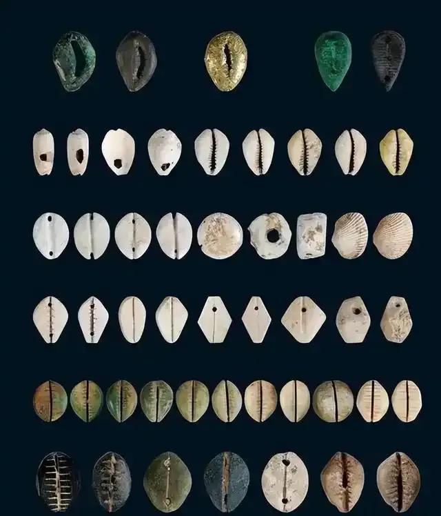 贝壳虚拟币(虚拟币贝壳是哪个直播软件)