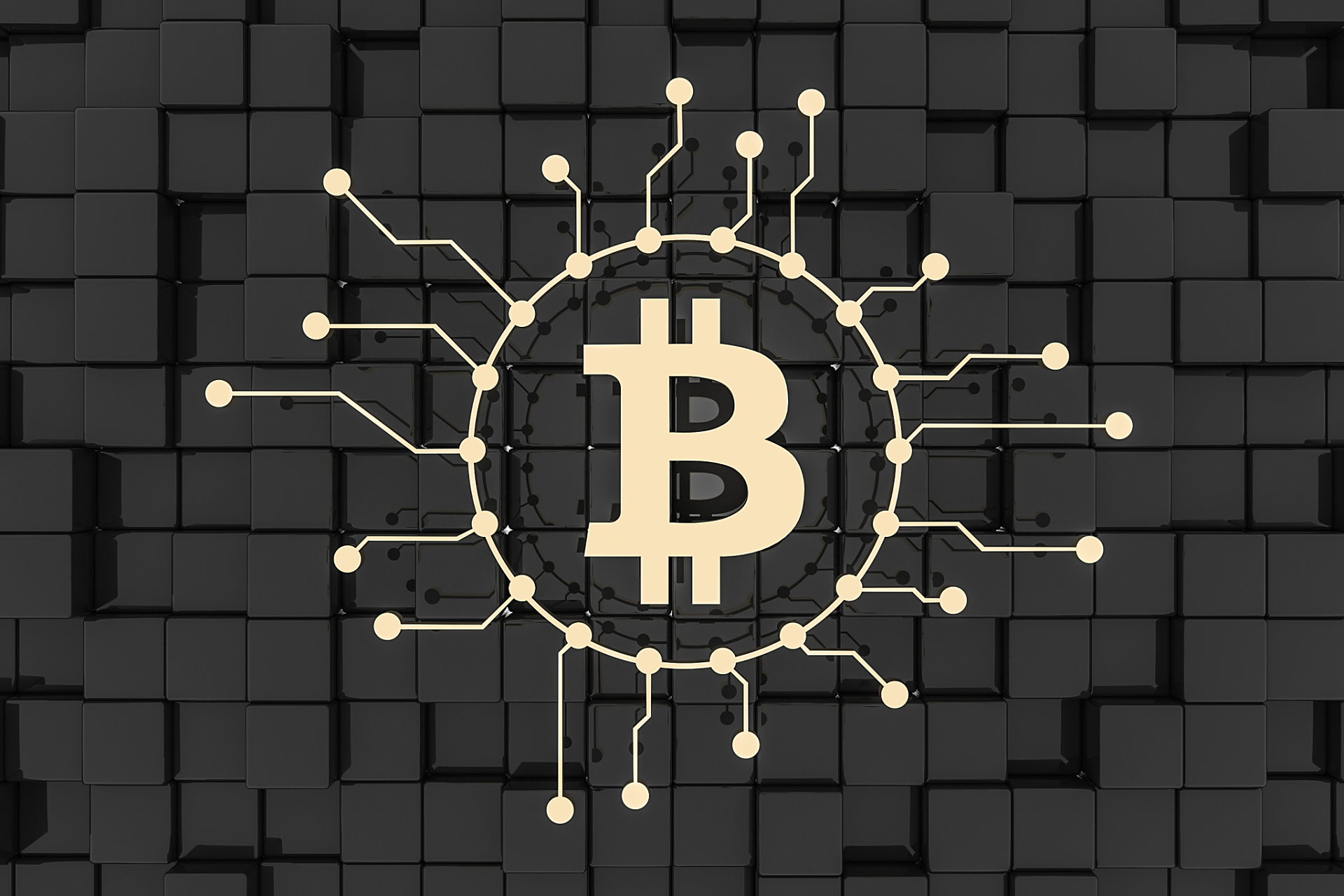 HAH虚拟币(whale虚拟币)