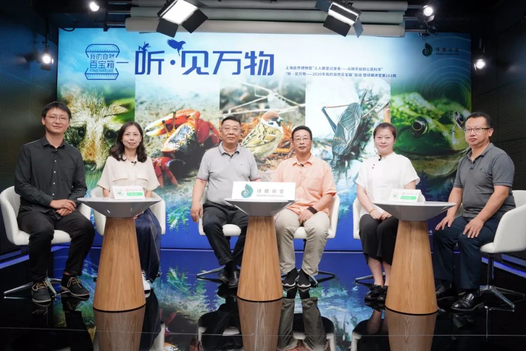 蛙贝虚拟币(蛙币是什么直播平台)