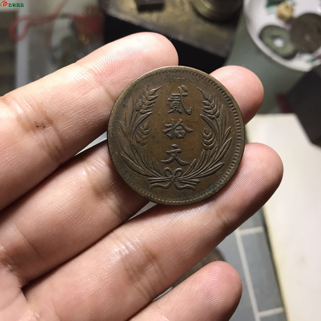 仙草币虚拟币(仙草币虚拟币是什么)