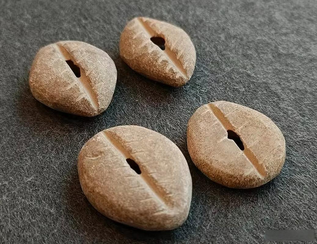 贝壳虚拟币(贝壳平台的贝壳币有什么用) 贝壳虚拟币(贝壳平台的贝壳币有什么用)