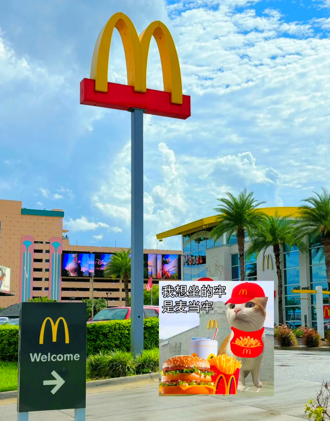 麦当劳虚拟币(麦当劳也要发币了)